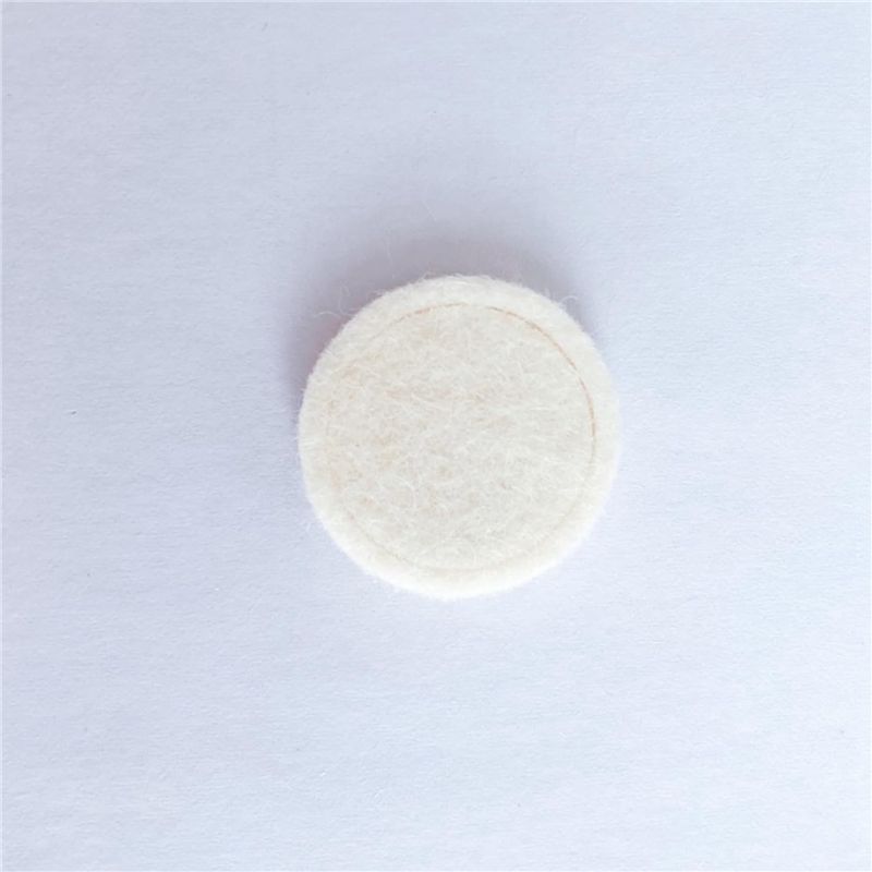 ABBZ-5X Felt Washer For Brevil - Breville Espresso Bes870 ulasan dan harga