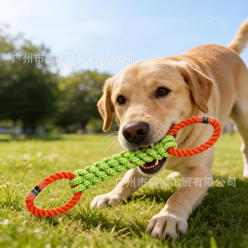 Pet toy cotton rope double-rin - Corn Dog Stick ulasan dan harga